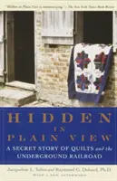 Versteckt im Verborgenen: Eine geheime Geschichte von Quilts und der Underground Railroad - Hidden in Plain View: A Secret Story of Quilts and the Underground Railroad