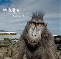 Wildlife Photographer of the Year: Mappe 28 - Wildlife Photographer of the Year: Portfolio 28