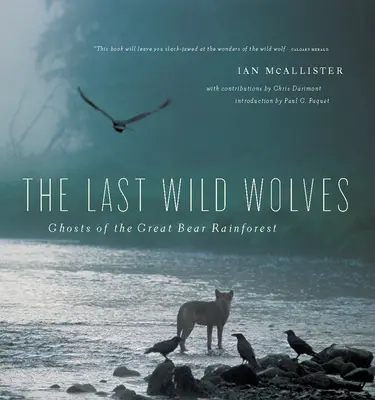 Die letzten wilden Wölfe: Geister des Regenwaldes - The Last Wild Wolves: Ghosts of the Rain Forest