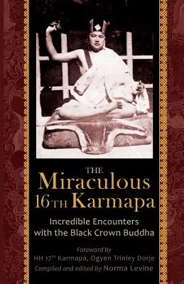 Der wundersame 16. Karmapa - The Miraculous 16th Karmapa