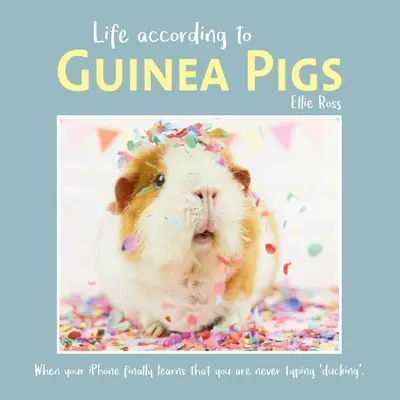 Das Leben nach Meerschweinchen - Life According to Guinea Pigs