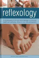 Reflexzonenmassage: Ein kompakter Leitfaden zur Fuß- und Handmassage für mehr Gesundheit und Wohlbefinden, dargestellt in über 200 Fotografien - Reflexology: A Concise Guide to Foot and Hand Massage for Enhanced Health and Wellbeing, Shown in Over 200 Photographs