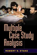 Analyse mehrerer Fallstudien - Multiple Case Study Analysis
