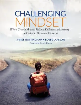 Herausfordernde Denkweise: Warum eine wachstumsorientierte Denkweise einen Unterschied beim Lernen macht - und was zu tun ist, wenn dies nicht der Fall ist - Challenging Mindset: Why a Growth Mindset Makes a Difference in Learning - And What to Do When It Doesn't