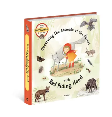 Beobachtung der Tiere des Waldes mit Rotkäppchen - Observing the Animals of the Forest with Little Red Riding Hood