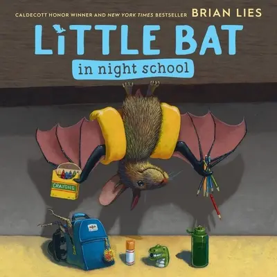 Kleine Fledermaus in der Abendschule - Little Bat in Night School