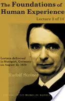 Das Mysterium des Herzens: Die sakramentale Physiologie des Herzens bei Aristoteles, Thomas Aqinas und Rudolf Steiner - The Mystery of the Heart: The Sacramental Physiology of the Heart in Aristotle, Thomas Aqinas, and Rudolf Steiner