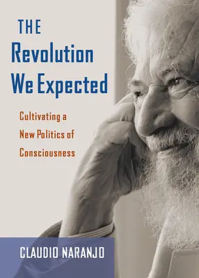 Die Revolution, die wir erwartet haben: Die Kultivierung einer neuen Politik des Bewusstseins - The Revolution We Expected: Cultivating a New Politics of Consciousness