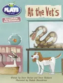 Bug Club Geführte Julia Donaldson-Stücke Jahr 2 Orange beim Tierarzt - Bug Club Guided Julia Donaldson Plays Year 2 Orange at the Vet's