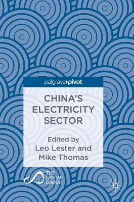 Chinas Elektrizitätssektor - China's Electricity Sector