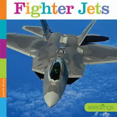 Kampfjets - Fighter Jets