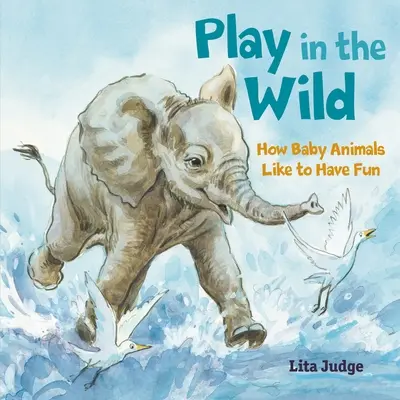 Spielen in der Wildnis: Wie Babytiere Spaß haben - Play in the Wild: How Baby Animals Like to Have Fun