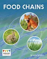 Nahrungsketten - Food Chains