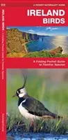 Irland Vögel, 2. Auflage - Ein Taschenführer für vertraute Arten - Ireland Birds, 2nd Edition - A Folding Pocket Guide to Familiar Species