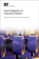 Fehlerdiagnose von Induktionsmotoren - Fault Diagnosis of Induction Motors