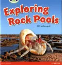 Bug Club Geführte Sachbücher Jahr 1 Grün C Erkundung von Felspools - Bug Club Guided Non Fiction Year 1 Green C Exploring Rock Pools