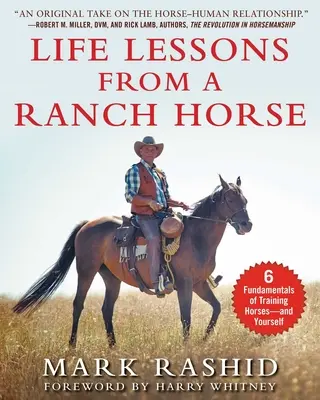 Lebenslektionen von einem Ranchpferd: 6 Grundlagen der Ausbildung von Pferden - und von Ihnen selbst - Life Lessons from a Ranch Horse: 6 Fundamentals of Training Horses--And Yourself