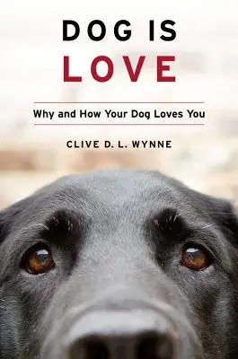 Hund ist Liebe: Warum und wie dein Hund dich liebt - Dog Is Love: Why and How Your Dog Loves You