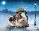 Meerschweinchen Oliver Twist - Guinea Pig Oliver Twist