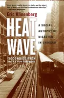 Hitzewelle: Eine soziale Autopsie der Katastrophe in Chicago - Heat Wave: A Social Autopsy of Disaster in Chicago