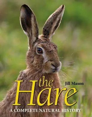 Der Hase - The Hare