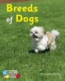 Hunderassen - Phonics Phase 4 - Breeds of Dogs - Phonics Phase 4