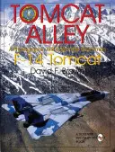 Tomcat Alley: Ein fotografischer Appell an die Grumman F-14 Tomcat - Tomcat Alley: A Photographic Roll Call of the Grumman F-14 Tomcat