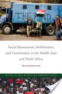 Soziale Bewegungen, Mobilisierung und Anfechtung im Nahen Osten und Nordafrika: Zweite Ausgabe - Social Movements, Mobilization, and Contestation in the Middle East and North Africa: Second Edition