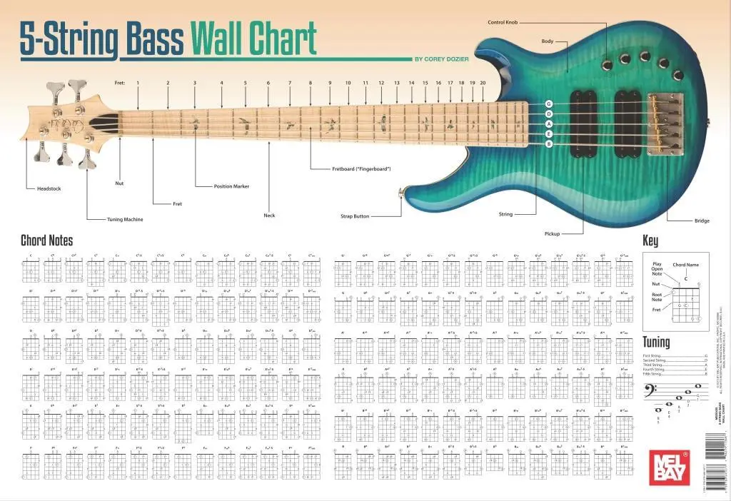 5-saitiger Bass Wandtafel - 5-String Bass Wall Chart