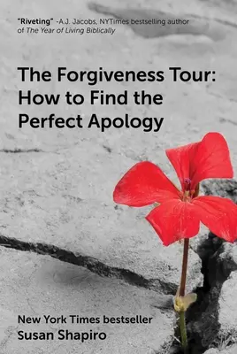 Die Vergebungsreise: Wie Sie die perfekte Entschuldigung finden - The Forgiveness Tour: How to Find the Perfect Apology