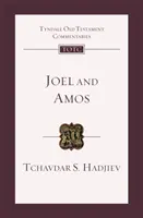 Joel und Amos - Eine Einführung und ein Kommentar (Hadjiev Dr. Tchavdar (Autor)) - Joel and Amos - An Introduction And Commentary (Hadjiev Dr Tchavdar (Author))