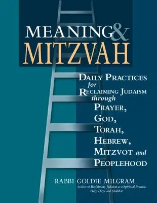 Sinn & Mitzvah: Tägliche Praktiken zur Wiedergewinnung des Judentums durch Gebet, Gott, Tora, Hebräisch, Mitzvot und Volkstum - Meaning & Mitzvah: Daily Practices for Reclaiming Judaism Through Prayer, God, Torah, Hebrew, Mitzvot and Peoplehood