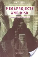 Megaprojekte und Risiko - Megaprojects and Risk