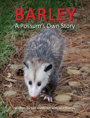 Barley, die eigene Geschichte eines Opossums - Barley, a Possum's Own Story