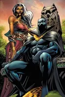 Schwarzer Panther von Reginald Hudlin: Die komplette Sammlung Band 3 - Black Panther by Reginald Hudlin: The Complete Collection Vol. 3