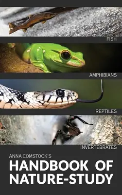 Das Handbuch der Naturkunde in Farbe - Fische, Reptilien, Amphibien, Wirbellose - The Handbook Of Nature Study in Color - Fish, Reptiles, Amphibians, Invertebrates