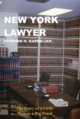 New Yorker Anwalt - new york lawyer