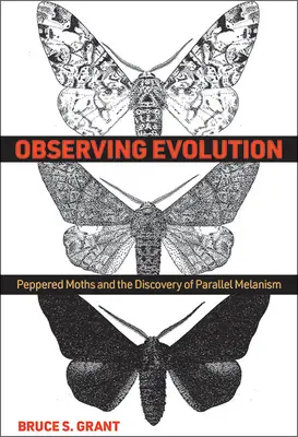 Die Beobachtung der Evolution: Gesprenkelte Motten und die Entdeckung des parallelen Melanismus - Observing Evolution: Peppered Moths and the Discovery of Parallel Melanism