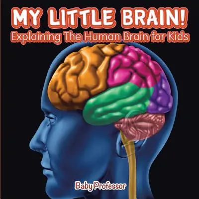 Mein kleines Gehirn! - Erklärungen zum menschlichen Gehirn für Kinder - My Little Brain! - Explaining The Human Brain for Kids