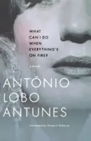 Was kann ich tun, wenn alles in Flammen steht? - What Can I Do When Everything's on Fire?