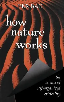 Wie die Natur funktioniert: Die Wissenschaft der selbstorganisierten Kritikalität - How Nature Works: The Science of Self-Organized Criticality