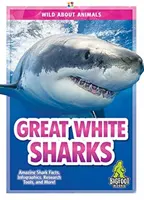 Weiße Haie - Great White Sharks