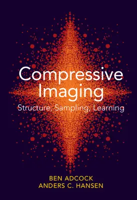 Komprimierte Bildgebung: Struktur, Abtastung, Lernen - Compressive Imaging: Structure, Sampling, Learning