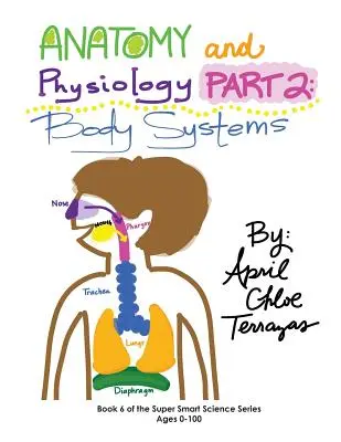 Anatomie und Physiologie Teil 2: Körpersysteme - Anatomy & Physiology Part 2: Body Systems