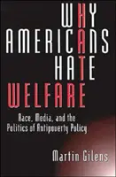 Warum Amerikaner die Wohlfahrt hassen: Ethnie, Medien und die Politik der Armutsbekämpfung - Why Americans Hate Welfare: Race, Media, and the Politics of Antipoverty Policy