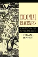 Koloniale Schwärze: Eine Geschichte von Afro-Mexiko - Colonial Blackness: A History of Afro-Mexico