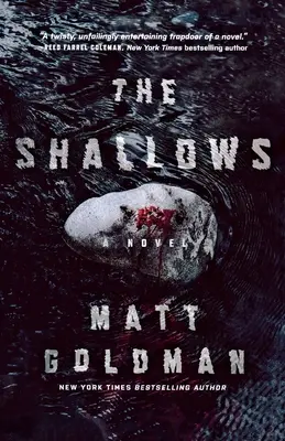 Die Untiefen: Ein Nils Shapiro-Roman - The Shallows: A Nils Shapiro Novel