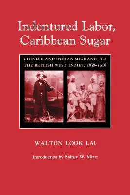 Indentured Labor, Karibischer Zucker: Chinesische und indische Einwanderer auf den Britischen Westindischen Inseln, 1838-1918 - Indentured Labor, Caribbean Sugar: Chinese and Indian Migrants to the British West Indies, 1838-1918