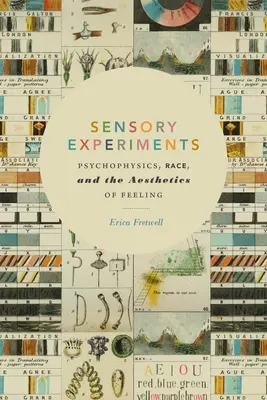 Sensorische Experimente: Psychophysik, Ethnie und die Ästhetik des Fühlens - Sensory Experiments: Psychophysics, Race, and the Aesthetics of Feeling