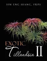 Exotische Tillandsien II - Exotic Tillandsia II